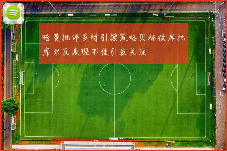 哈曼批评多特引援策略贝林扬库托席尔瓦表现不佳引发关注