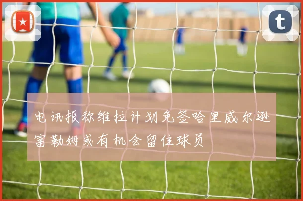 电讯报称维拉计划免签哈里威尔逊富勒姆或有机会留住球员