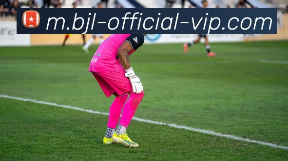 百家乐官方网站APP 封面图